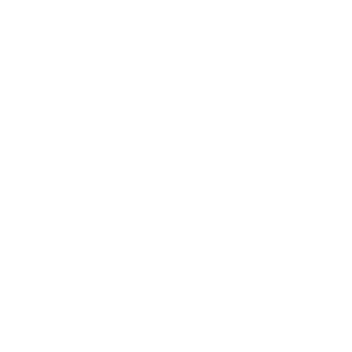 BORVIRÁG - kert és dekor